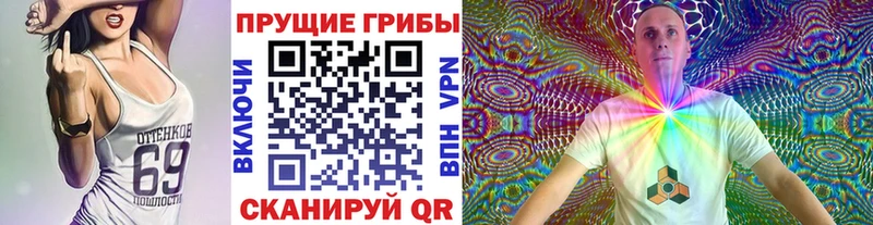 Купить  Тайга  Псилоцибиновые грибы GOLDEN TEACHER 